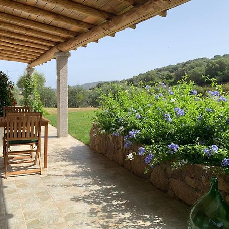 Macciuneddu Country Retreat Гольфо-Аранчи Экстерьер фото